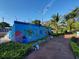 Ródrigo Campbell Municipal Park