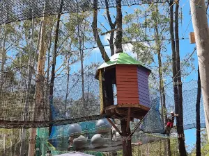 WildNets Adventure Park Port Macquarie