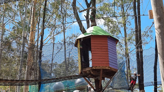 WildNets Adventure Park Port Macquarie