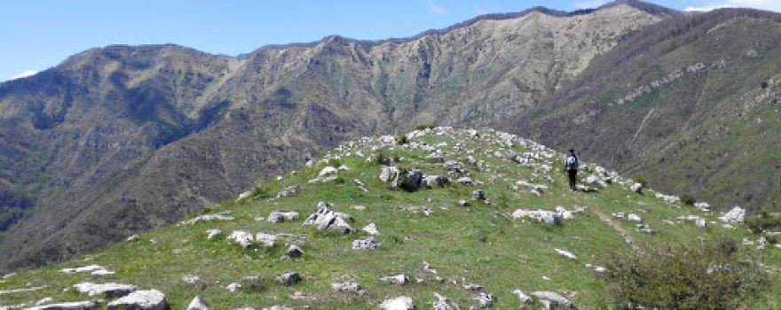 Faggeta del Monte Zatta