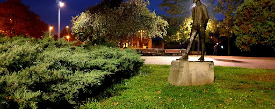 Vida Jocić Park