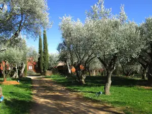 Camping Alquézar