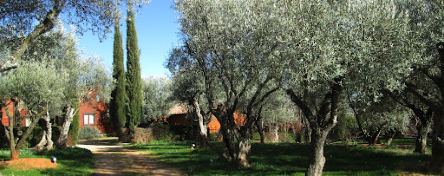 Camping Alquézar