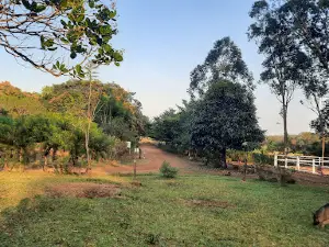 Ranch de Ngaoundaba
