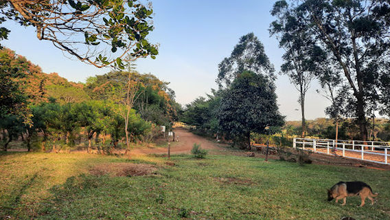 Ranch de Ngaoundaba