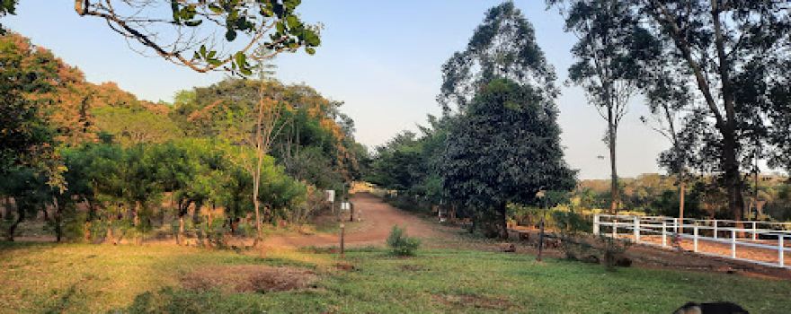 Ranch de Ngaoundaba