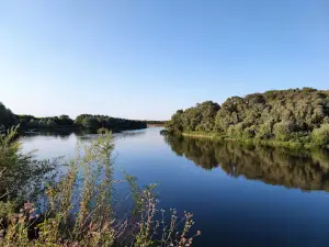 Дон