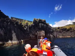 Sea Explorers Azores