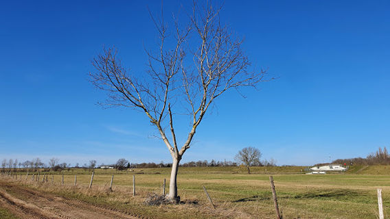 Weilerswist
