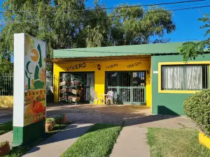 Vivero Sol Y Verde
