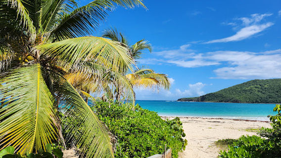 Reserva Natural de Culebra