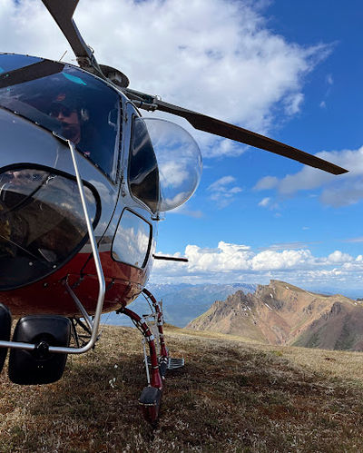 Denali Backcountry Guides