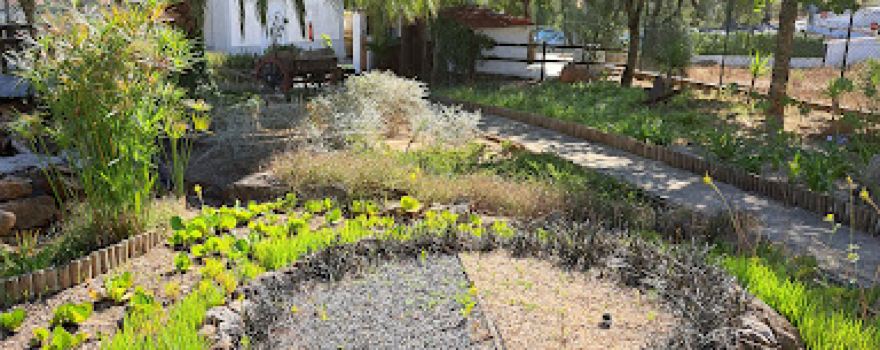CCL - Parque de Campismo de Almornos