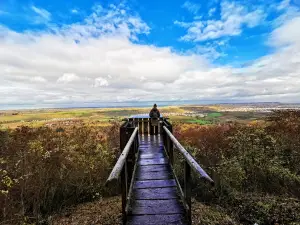 Aussichtsplattform Am weißen Steinbruch