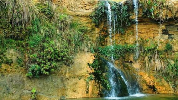 Sidi Rimani Waterfalls