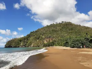 St. Lucia Bamboo Rafting