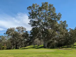 Axedale Golf Club
