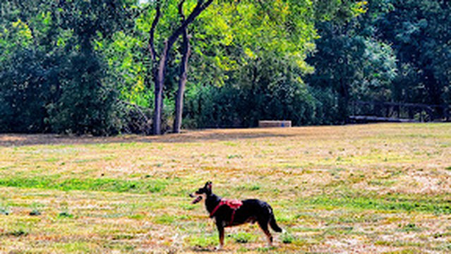 White Rock Creek Greenbelt