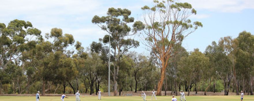 Para Vista Cricket Club