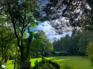 Grecia Forest Reserve - Children's Forest
