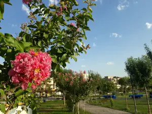 Semel Park