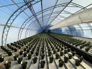 Kathan Gardens and Gifts