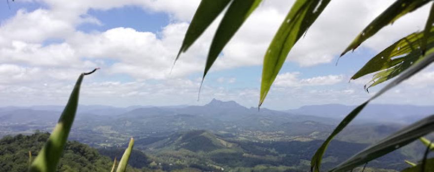 Mount Cougal