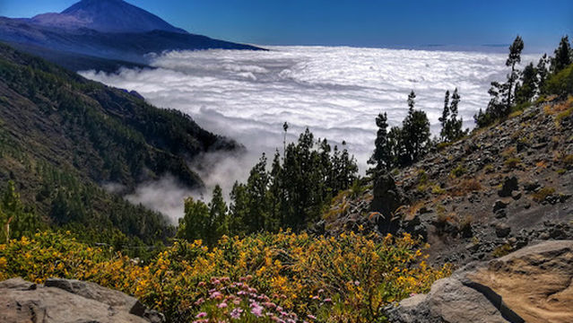 Parque Natural Corona Forestal