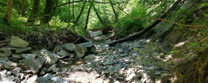 Kirby Nature Center