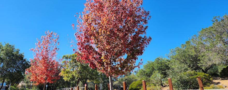 Hidden Lakes Park