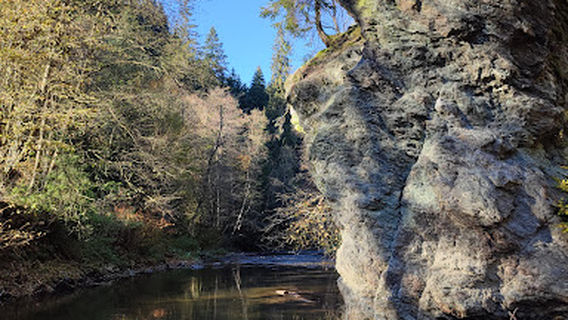 Technical monument - steel bridge on the forest railway