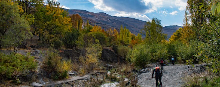 Kordineh