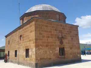Orman
