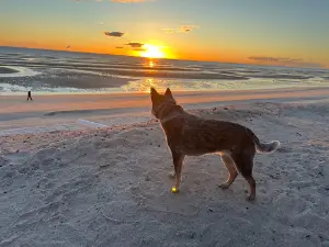 Playa Del Sol Campground