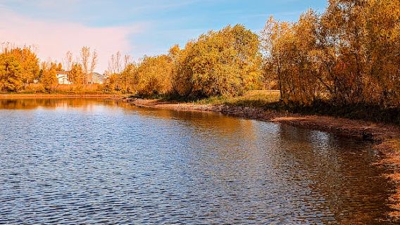 Cottonwood Park