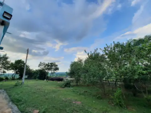 Shri Digambar Jain Mandir, Pajnari