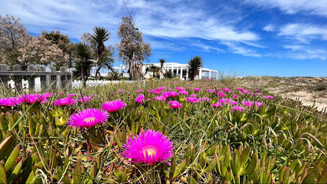 Spiaggia delle Isole Asce