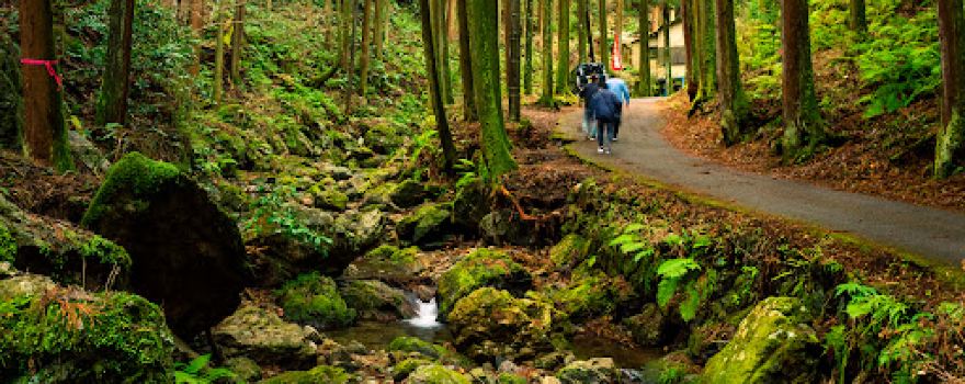 Kuroyama's Three Waterfalls - Medaki and Odaki
