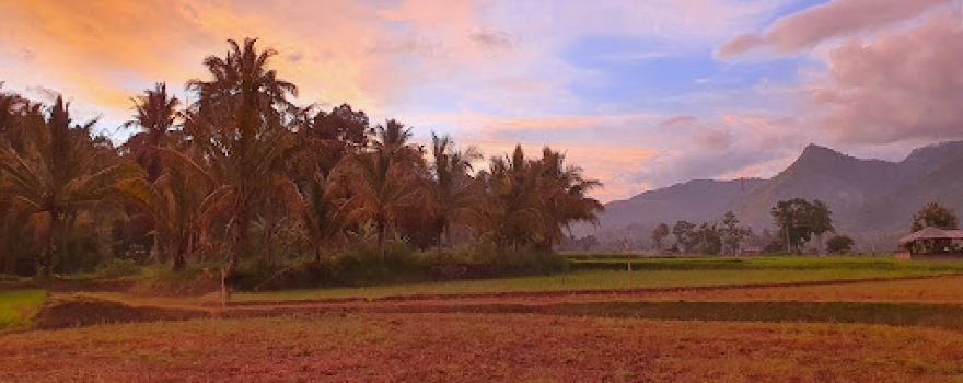 Lobuah timbun