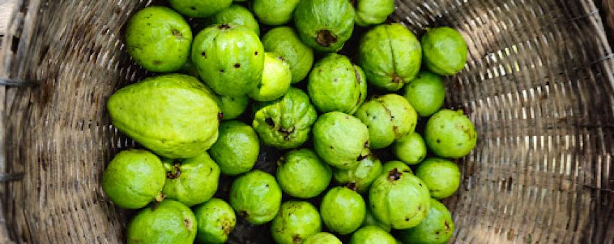 Floating Guava Market