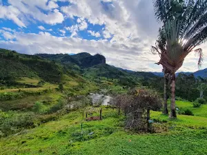 Ramanofana Arboritum