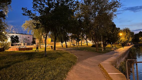 Parcul Ciuperca