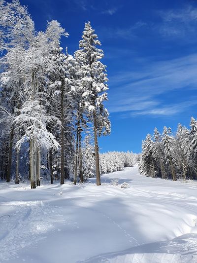 SKIPARK Red Water, Eagle Mountain
