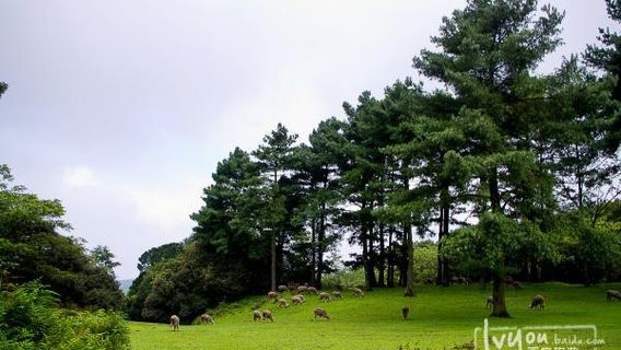 Junzi Mountain Scenic Area