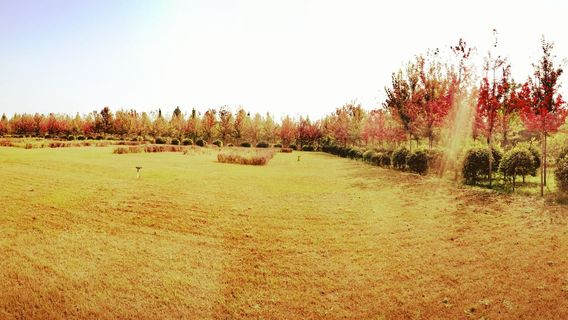 香河主題公園