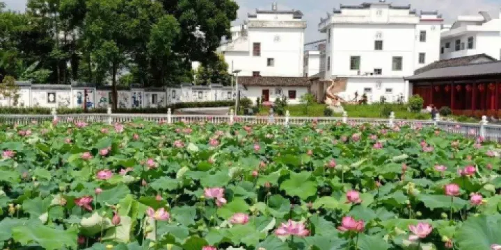 周屋鄉村旅遊景點