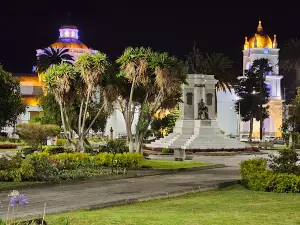Vicente Leon Park