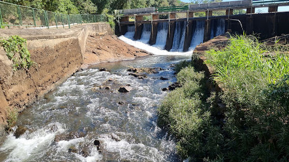 Parque Municipal Arthur Thomas