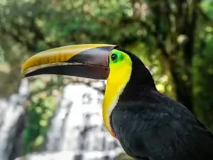 Nauyaca Waterfalls