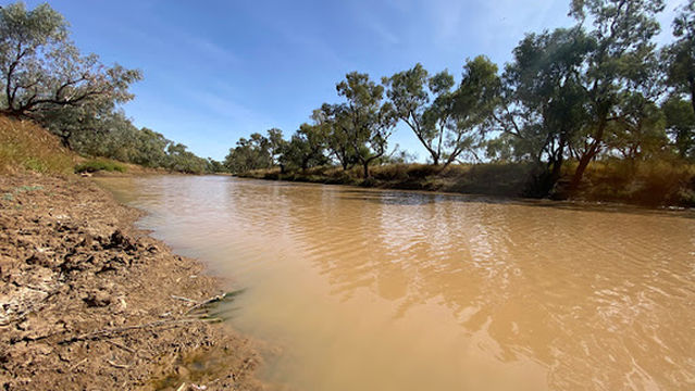 Waltzing Matilda billabong